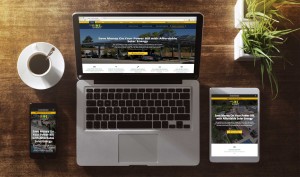 delsol-energy-responsive-website-design