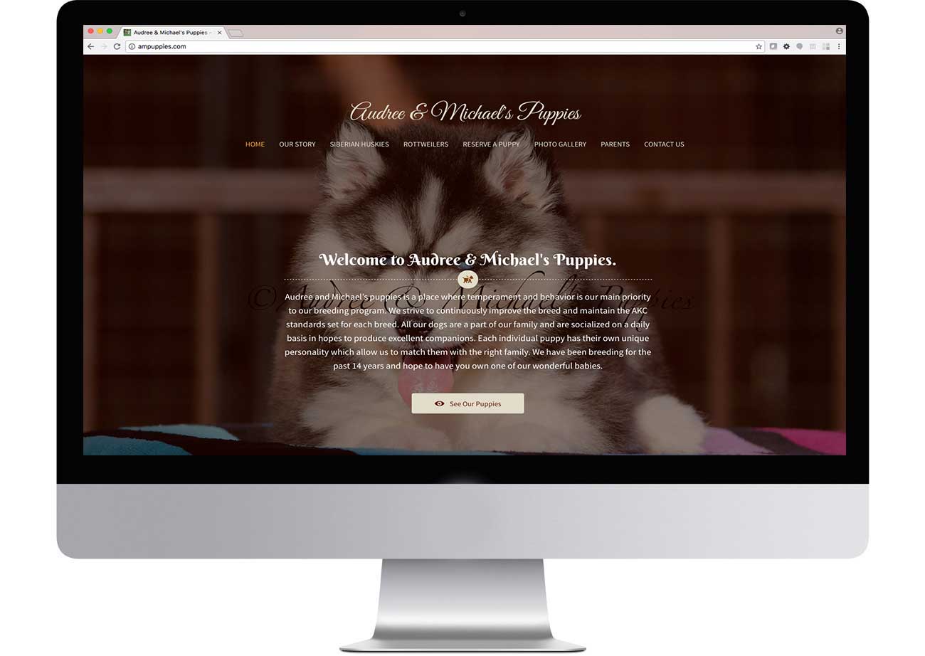 dog-breeder-website-design-ampuppies